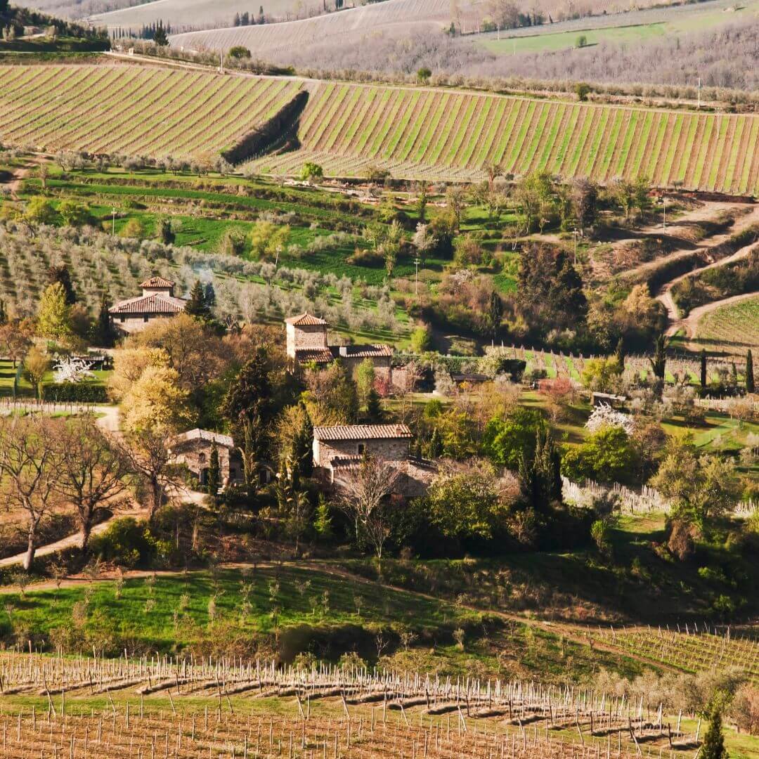 The Wines Of Chianti Day Trip